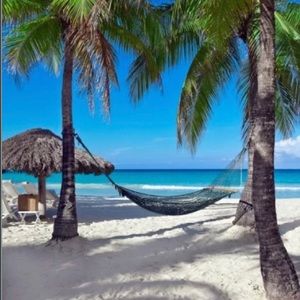 All Organic/Vegan Whipped body butter Jamaica